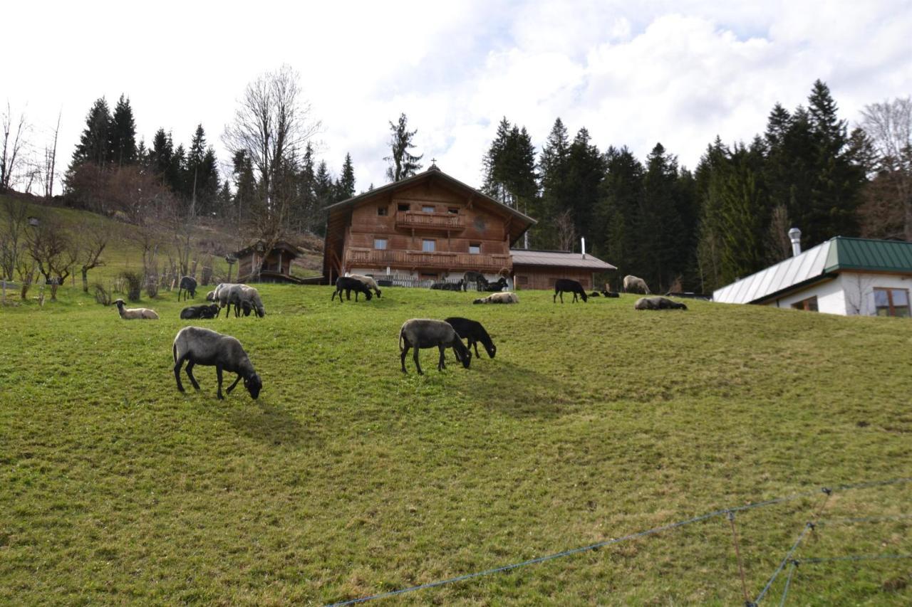 Ferienwohnung Brandhof Reith bei Kitzbühel Exterior foto